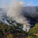 78 Δασικές πυρκαγιές το τελευταίο 24ωρο