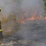 Πυρκαγιά σε έκταση με ξερά χόρτα πάνω από τον Περιφερειακό Βόλου