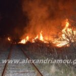 Πυρκαγιά στον Σιδηροδρομικό Σταθμό Αλεξάνδρειας – Ακινητοποιήθηκε τρένο (ΒΙΝΤΕΟ)