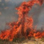 Πυρκαγιά στην περιοχή Καντινελιές της Πάρου