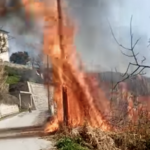 Πυρκαγιά στη Μακρινίτσα Πηλίου (Φώτο)