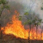 Πυρκαγιά στα Πλατιά Περάματα στο Ηράκλειο Κρήτης