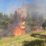 Πυρκαγιά σε δασική έκταση στην περιοχή Τσιχλέικα Αμαλιάδας