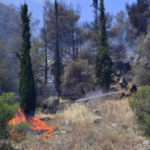 Πυρκαγιά στο λόφο Λάρισα στο Άργος