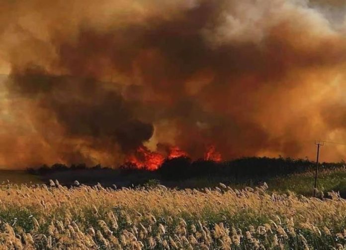 106 Δασικές πυρκαγιές το τελευταίο 24ωρο