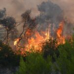 39 Δασικές πυρκαγιές το τελευταίο 24ωρο