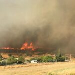 Πυρκαγιά σε δασική έκταση στην περιοχή Χάβαρι Αμαλιάδας