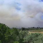 Πυρκαγιά στον Σχίνο: Μάχη με το χρόνο και τους ισχυρούς ανέμους