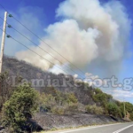 Πυρκαγιά ΤΩΡΑ στην Μακρακώμη Φθιώτιδας (Φώτο)