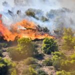 Πυρκαγιά στην περιοχη Φάρσα Κεφαλονιάς - Άμεση επέμβαση της Πυροσβεστικής