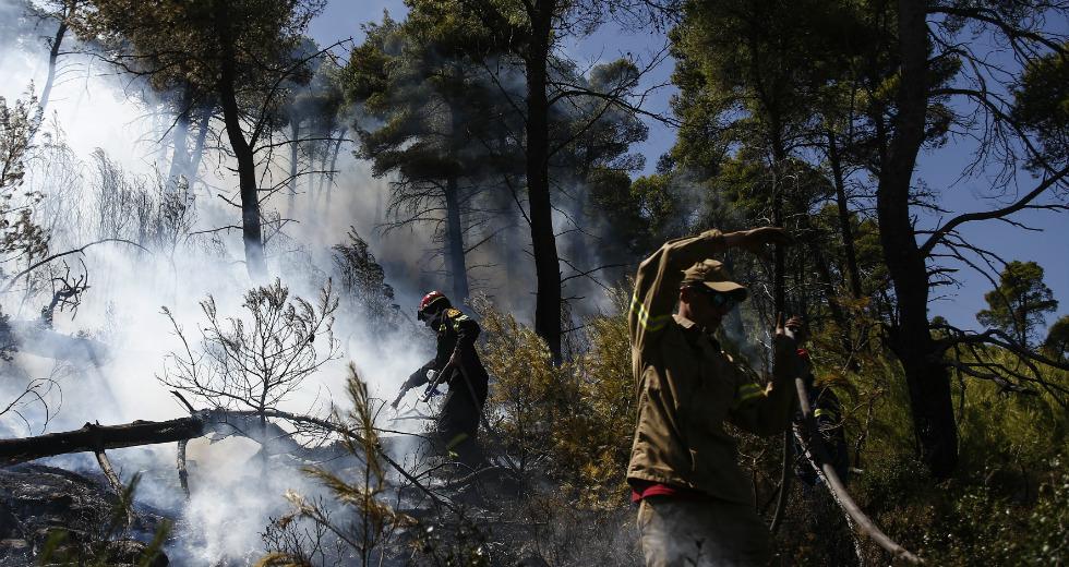 36 Δασικές πυρκαγιές το τελευταίο 24ωρο