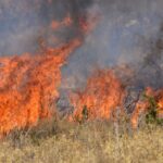 Πυρκαγιά ΤΩΡΑ εν υπαίθρω στης Αχαρνές Αττικής