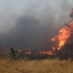 41 Δασικές πυρκαγιές το τελευταίο 24ωρο