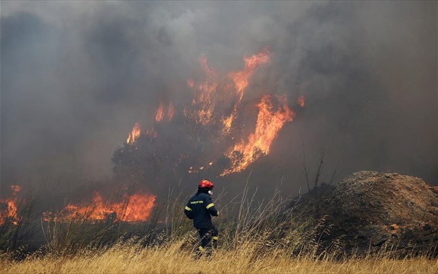 Πυρκαγιά στον Δήμο Πολυδάμαντας στην Θεσσαλία