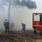 Πυρκαγιά σε δασική έκταση στις Κροκεές Λακωνίας