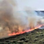 Χωρίς ενεργό μέτωπο πλέον η πυρκαγιά στην Κέα