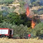 Πυρκαγιά σε εξέλιξη σε Γεωργική έκταση στην Λαμία