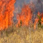 Πυρκαγιά σε εξέλιξη - Απειλείται η Μονή Θεοτόκου και κατοικίες