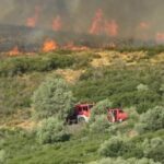 Πυρκαγιά σε δασική έκταση στην Βυσσινιά Καστοριάς