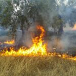 Πυρκαγιά ΤΩΡΑ εν υπαίθρω στην Αίγινα