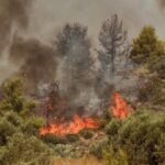 Δασική πυρκαγιά σε εξέλιξη στην Ιστιαία Ευβοίας