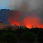 Δασική πυρκαγιά ΤΩΡΑ στα Μέγαρα Αττικής