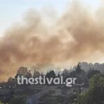 Δύο συλλήψεις για τις πυρκαγιές σε Λακκιά και Πανόραμα Θεσσαλονίκης