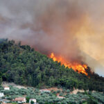 31 Δασικές πυρκαγιές το τελευταίο 24ωρο