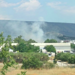 Πυρκαγιά εν υπαίθρω στο Γεωπονικό Πανεπιστήμιο (Φώτο)