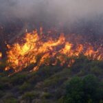 Πυρκαγιά σε ξηρά χόρτα στην Κλένια Κορινθίας