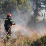 Πυρκαγιά σε γεωργική έκταση στο Σπαθοβούνι Κορινθίας