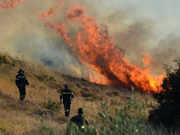 Πυρκαγιά σε απορρίμματα και χωράφια στον Τυρνάβο