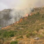 Πυρκαγιά ΤΩΡΑ σε δασική έκταση στα Καρδάμυλα Χίου