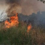 Πυρκαγιά ΤΩΡΑ εν υπαίθρω στην Κομοτηνή