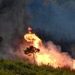 Πυρκαγιά ΤΩΡΑ σε δασική έκταση στην Κυανή Ακτή Ηλείας