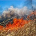 Πυρκαγιά ΤΩΡΑ εν υπαίθρω 4 εστίες στης Αχαρνές Αττικής