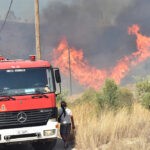 Δασική πυρκαγιά στην περιοχή Πέτρινα Αρκαδίας