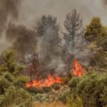 Πυρκαγιά ξέσπασε σε δασική έκταση στην περιοχή πάτημα στα Εξαμίλια Κορινθίας.