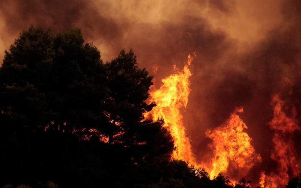 41 Δασικές πυρκαγιές το τελευταίο 24ωρο