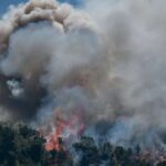 Πυρκαγιά ΤΩΡΑ σε δασική έκταση στον Αυλώνα Αττικής