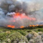 Πυρκαγιά ΤΩΡΑ σε χαμηλή βλάστηση στην Σαλαμίνα Αττικής. Κοντά σε σπίτια η πυρκαγιά