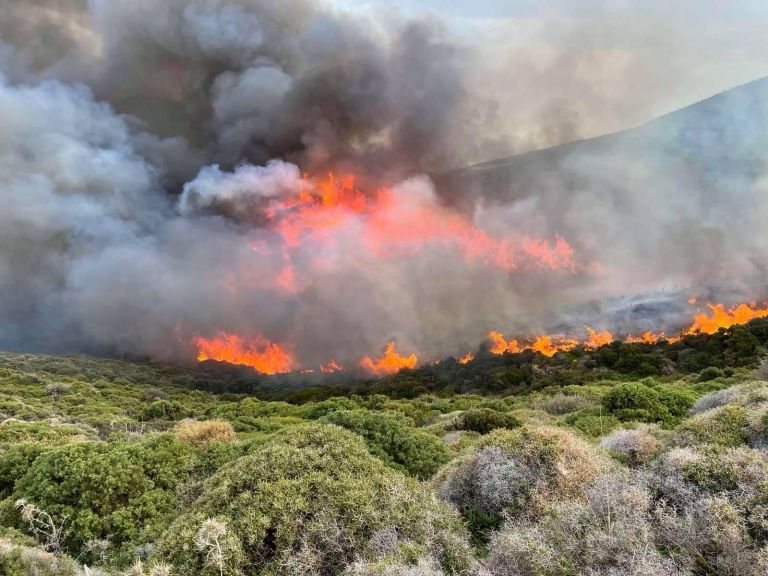 Πυρκαγιά ΤΩΡΑ στον Λόφο Αράπη στον Βύρωνα Αττικής