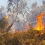 Πυρκαγιά στην γέφυρα της Κρεμαστής στην Λέσβο