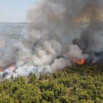 Δασική πυρκαγιά ΤΩΡΑ στην Σταματά Αττικής.(φωτο)