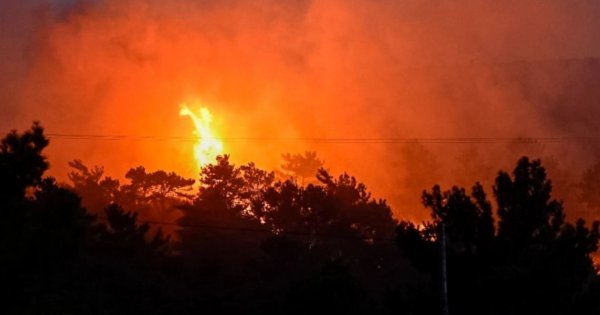 Σε εξέλιξη δασική πυρκαγιά σε δύο μέτωπα στην Κορυφή Ηλείας