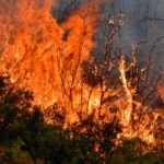 Πυρκαγιά εν υπαίθρω σε εξέλιξη στης Αχαρνες Αττικής