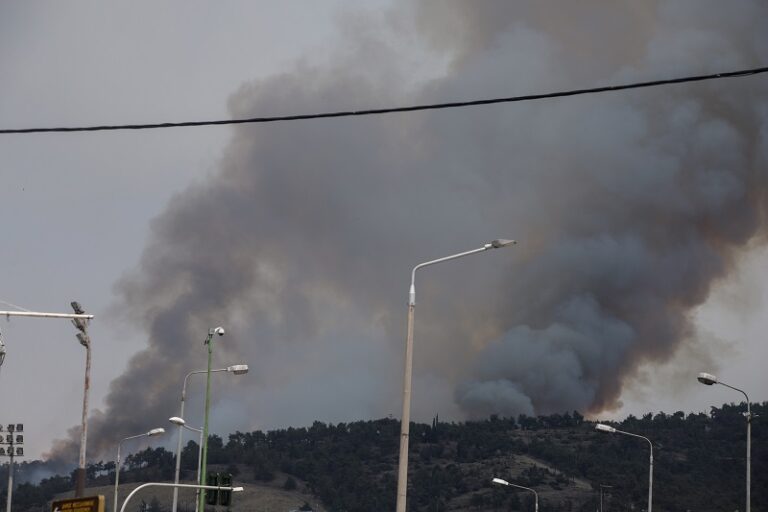 Κάηκαν 90 στρέμματα δάσους στο Σέιχ Σου