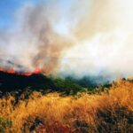 Πυρκαγιά ΤΩΡΑ σε δασική έκταση στη Βρύναινα Μαγνησίας (Βίντεο)