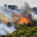 Πυρκαγιά σε δασική έκταση στην Λίμνη Ευβοίας