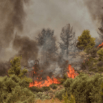 45 Δασικές πυρκαγιές εκδηλώθηκαν το τελευταίο 24ωρο